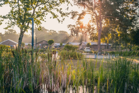 Sonnenaufgang über einem Ferienpark mit Glamping-Unterkünften, Teich und Bäumen im Vordergrund.