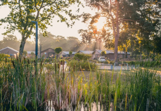 Sunrise at a holiday park with glamping huts, lush greenery, and a pond in the foreground.