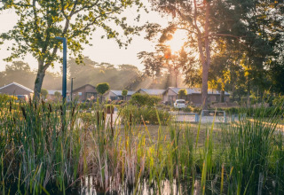 Sunrise at a holiday park with glamping huts, lush greenery, and a pond in the foreground.