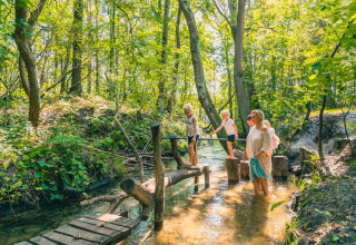 Familia cruza un arroyo en el bosque mientras disfruta de un parque de vacaciones con opciones de glamping.