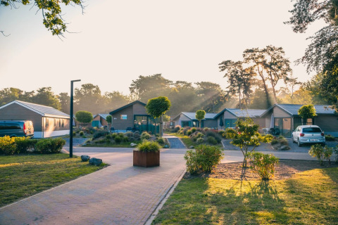Sonniger Ferienpark mit modernen Glamping-Hütten, schönen Gärten und Autos, umgeben von Bäumen.