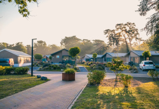 Parque vacacional soleado con modernas cabañas glamping, jardines cuidados y coches aparcados entre árboles.