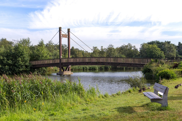 Holzbrücke über einen See im Ferienpark mit Glamping, umgeben von viel Grün und einer Bank am Ufer.