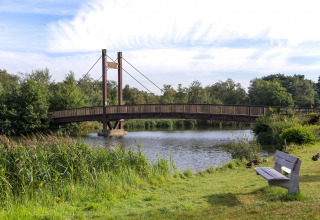 Wooden bridge over a lake in a holiday park with glamping, surrounded by greenery and a bench nearby.