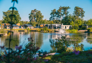 Moderne glamping-hytter ved en sø med springvand omgivet af træer i en feriepark på en solrig dag.