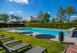 Outdoor swimming pool at a holiday park with loungers, umbrellas, greenery, and clear blue sky above.