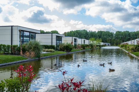 Modern glamping cabins beside a pond with ducks and lush greenery at a holiday park under a cloudy sky.