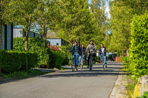 A group of young people ride bicycles together along a tree-lined road at a glamping holiday park.