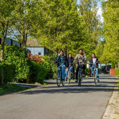 Un grupo de jóvenes pasea en bicicleta por un camino arbolado dentro de un parque vacacional de glamping.