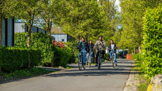 Un grupo de jóvenes pasea en bicicleta por un camino arbolado dentro de un parque vacacional de glamping.