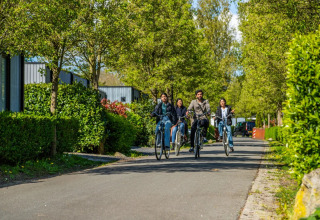 A group of young people ride bicycles together along a tree-lined road at a glamping holiday park.