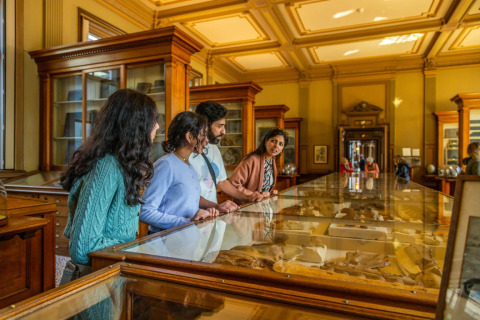 Fire unge voksne ser på udstillinger i en smukt oplyst museumsal med historiske glasmontrer.