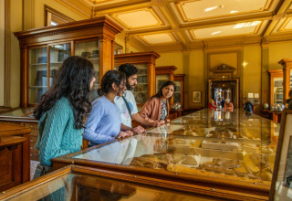 Four young adults observe museum exhibits in a well-lit gallery featuring vintage wooden display cases.
