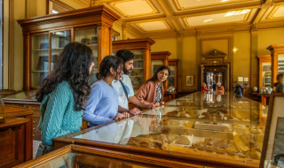 Cuatro jóvenes observan vitrinas en una sala de museo bien iluminada y con detalles arquitectónicos antiguos.
