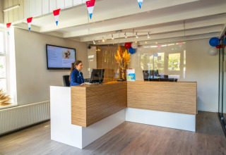 Receptioniste achter een moderne balie in een glamping vakantiepark, met feestelijke slingers en ballonnen.