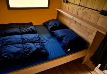 Cozy glamping accommodation with wooden bed frame, dark blue bedding, and window in the background.