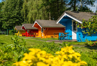 Farverige glamping-hytter på en grøn ferielejr, omgivet af blomster og træer under en klar himmel.