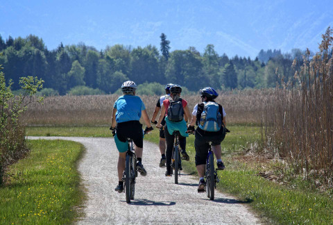 Quatre personnes font du vélo sur un chemin dans le parc de vacances Bergumermeer, en Frise, Pays-Bas.