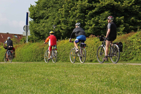 Four cyclists ride together on a path near Sumar in Friesland, Netherlands, surrounded by greenery and trees.