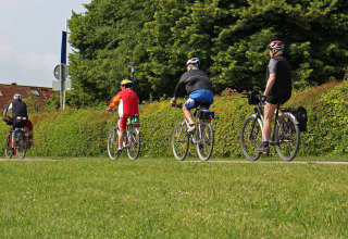 Four cyclists ride together on a path near Sumar in Friesland, Netherlands, surrounded by greenery and trees.