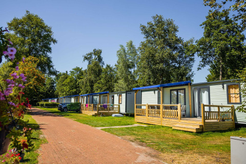 Außenansicht der Lodge XL im Vakantiepark Bergumermeer in den Niederlanden mit Bäumen und Terrasse.