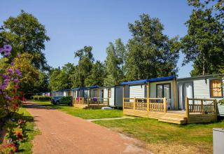 Außenansicht der Lodge XL im Vakantiepark Bergumermeer in den Niederlanden mit Bäumen und Terrasse.