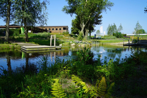Estanque natural con muelle de madera, vegetación y alojamientos glamping en un parque vacacional.