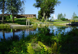 Étang naturel avec ponton en bois, verdure luxuriante et hébergements glamping sous ciel bleu.