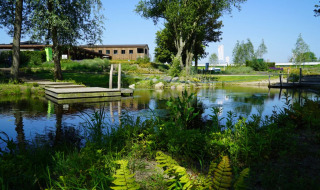 Étang naturel avec ponton en bois, verdure luxuriante et hébergements glamping sous ciel bleu.