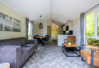 Modernes Wohnzimmer im Forest Cottage im Recreatiepark de Paalberg, Niederlande, mit großen Fenstern und gemütlicher Einrichtung.