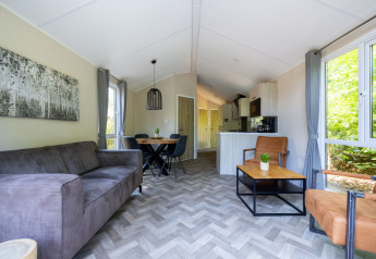 Moderne woonkamer in Forest Cottage bij Recreatiepark de Paalberg, Nederland, met grote ramen en gezellige inrichting.