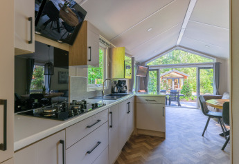 Moderne køkken- og stueområde i Forest Cottage på Recreatiepark de Paalberg i Holland med udsigt til terrasse.