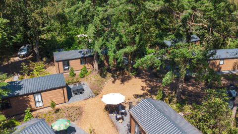 Aerial view of Forest Cottage lodges at Recreatiepark de Paalberg, Netherlands, surrounded by lush forest.