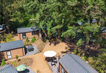 Luchtfoto van Forest Cottage-lodges in Recreatiepark de Paalberg, Nederland, omgeven door groene bossen.