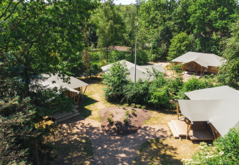 Luftfoto af glamping telte omgivet af grøn skov på Recreatiepark de Paalberg i Holland om sommeren.