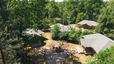 Vista aerea di tende glamping immerse nel verde al Recreatiepark de Paalberg nei Paesi Bassi d'estate.