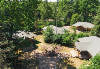 Vista aérea de tiendas glamping rodeadas de árboles y naturaleza en Recreatiepark de Paalberg, Países Bajos.