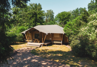 Tienda glamping en Recreatiepark de Paalberg, Países Bajos, rodeada de vegetación y árboles frondosos.
