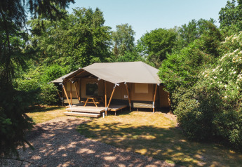 Tienda glamping en Recreatiepark de Paalberg, Países Bajos, rodeada de vegetación y árboles frondosos.