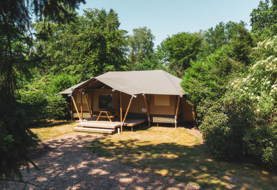 Glamping-Zelt im Recreatiepark de Paalberg in den Niederlanden, umgeben von Bäumen und Natur.