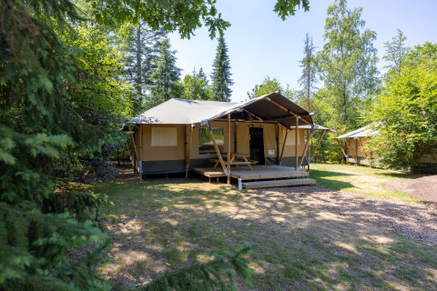 Glamping-telt på Recreatiepark de Paalberg, Holland, omgivet af grønne træer og med terrasse foran.
