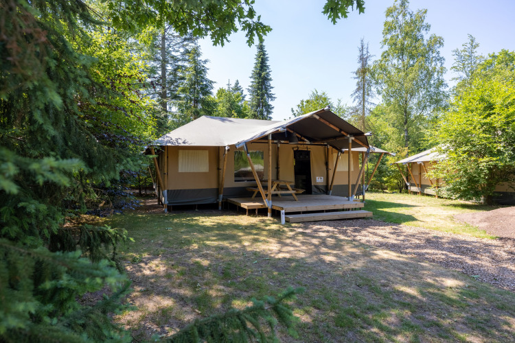 Safari-Glampingzelt im Recreatiepark de Paalberg in den Niederlanden, umgeben von Bäumen im Grünen.