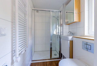Moderne lille badeværelse i tiny house på Recreatiepark de Paalberg, Holland, med bruser og vask.