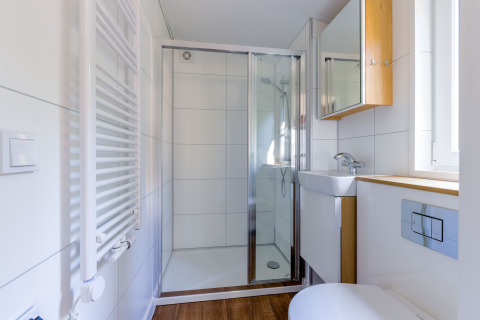 Moderne lille badeværelse i tiny house på Recreatiepark de Paalberg, Holland, med bruser og vask.