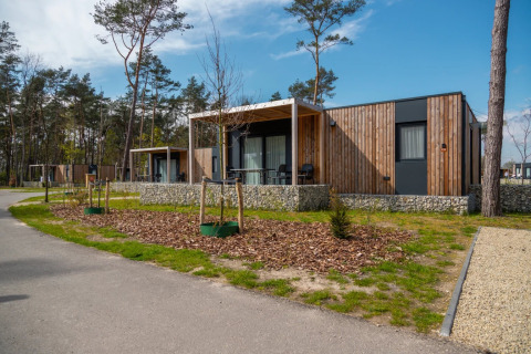 Moderne glampinghytter i en feriepark omgivet af træer og natur under en blå himmel.