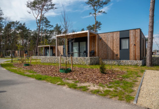 Moderne glampinghytter i en feriepark omgivet af træer og natur under en blå himmel.