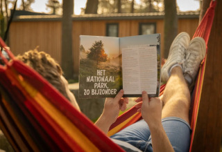 Persoon geniet in een hangmat en leest een tijdschrift bij een glampingverblijf in een vakantiepark.