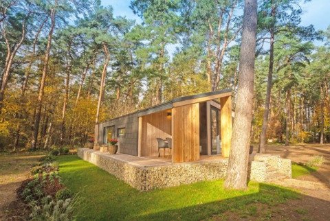 Moderne glamping-hytte i træ og sten midt i en frodig skov ved et feriepark under blå himmel.