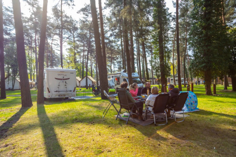 Parco vacanze con glamping, camper e persone che si rilassano insieme sotto alberi alti durante il giorno.