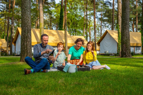 Familia disfruta de un picnic sobre el césped frente a tiendas glamping en un parque vacacional rodeado de bosque.
